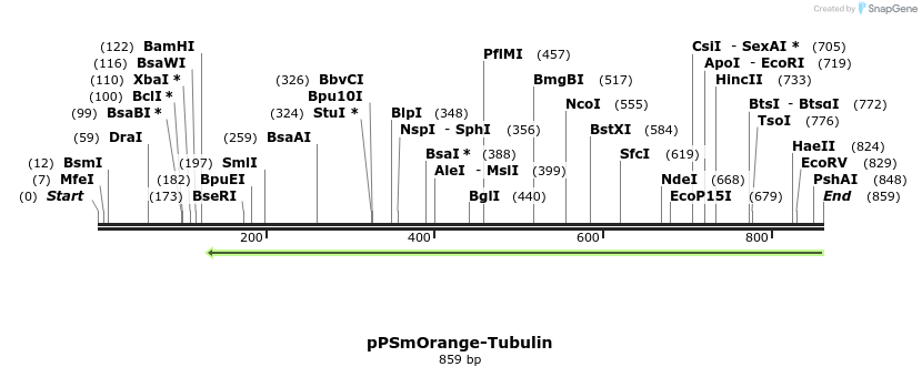 38264_map