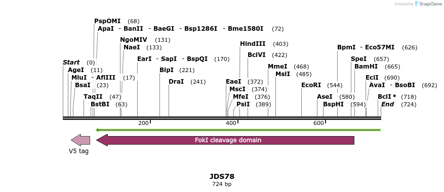 38265_map