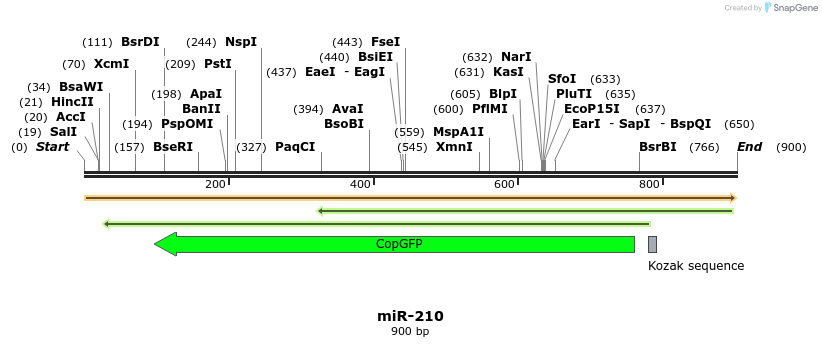 38268_map