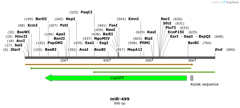 38270_map