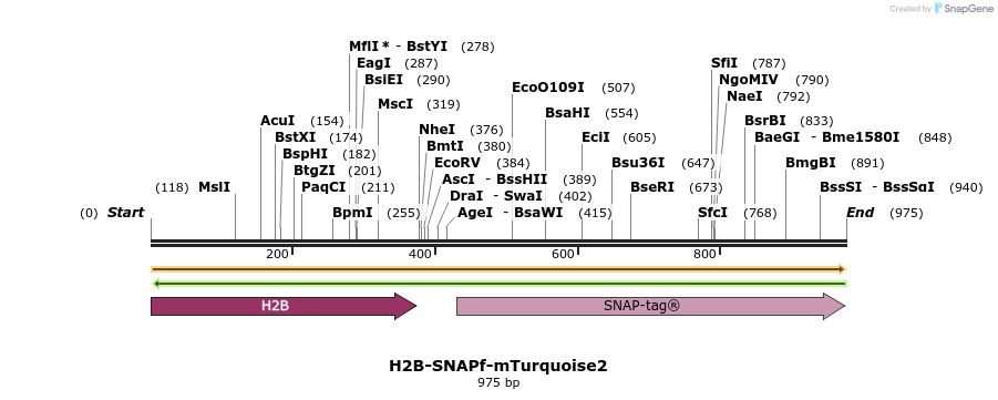 382712_map