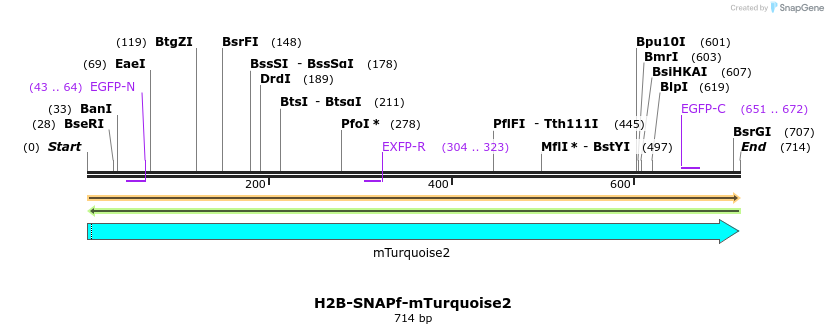 382713_map