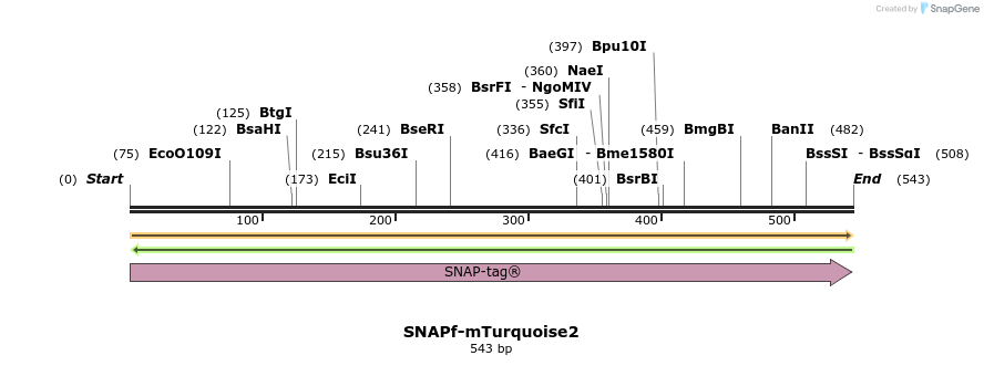 382714_map
