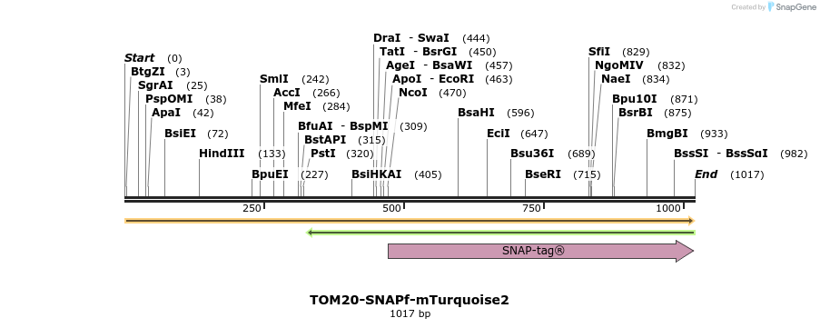 382716_map