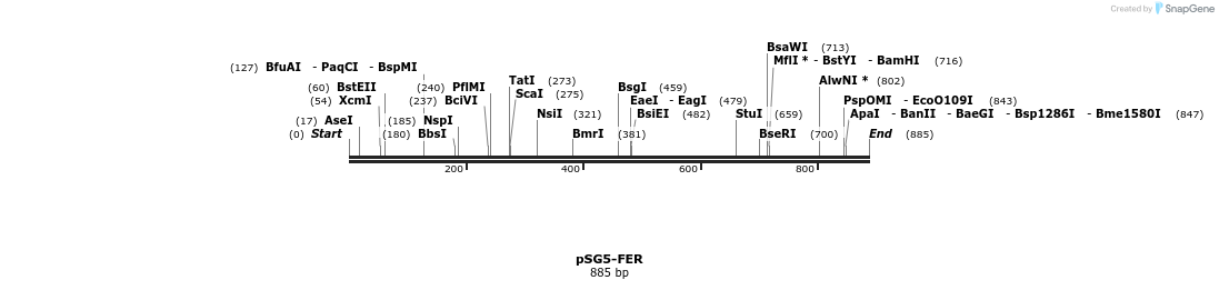 38272_map