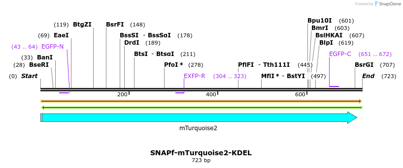 382721_map