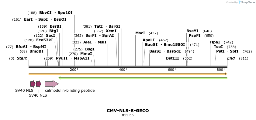 38274_map