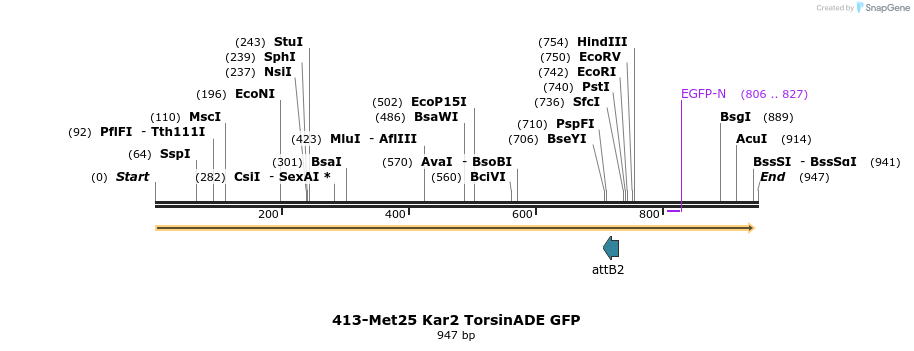 38275_map