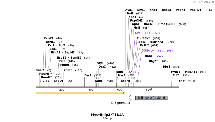 382760_map