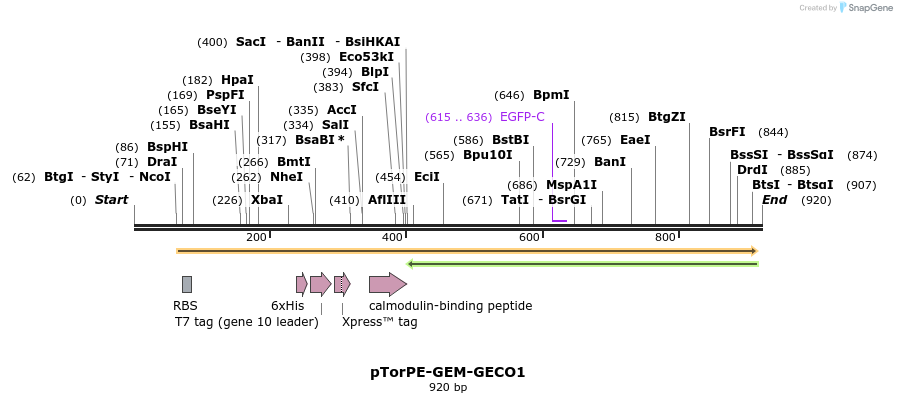 38277_map