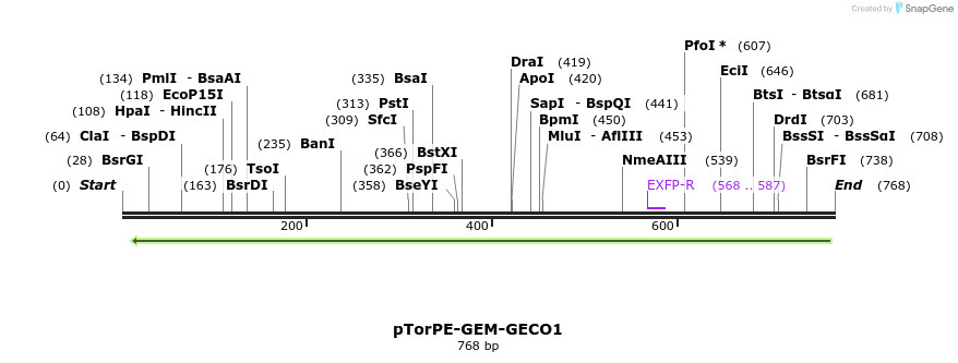 38280_map