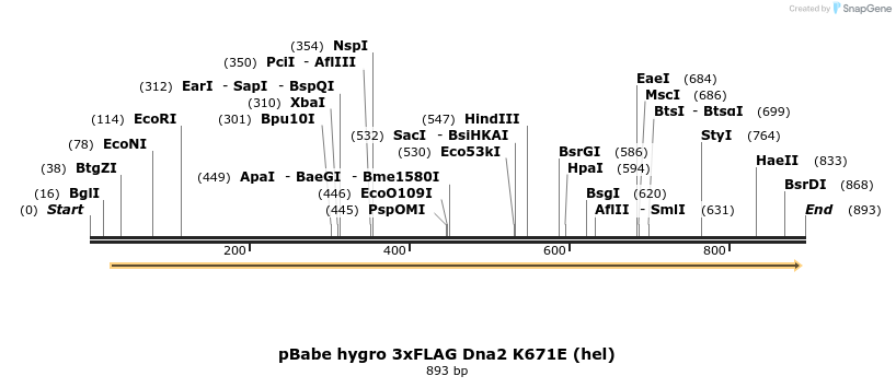 38285_map