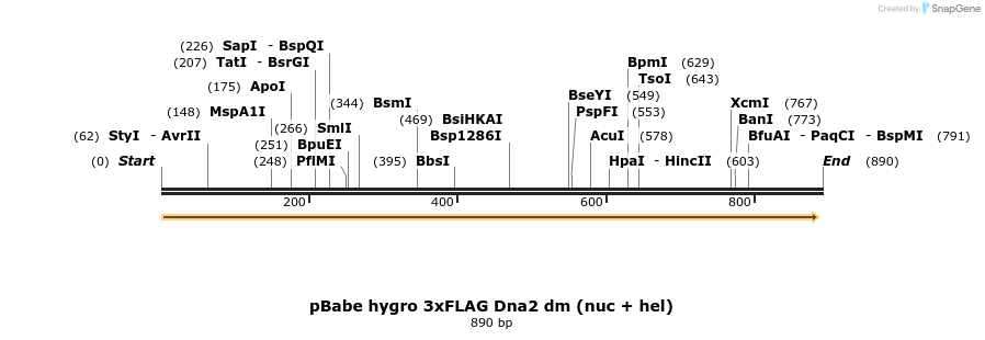38287_map