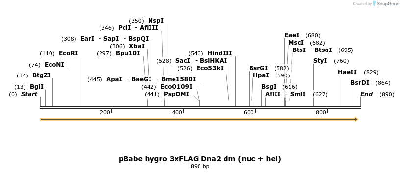 38288_map