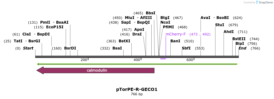 38290_map