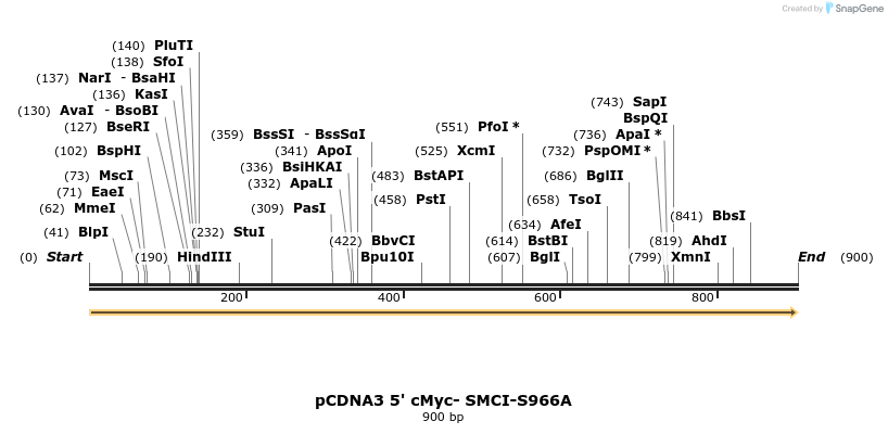 38296_map