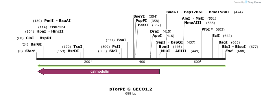 38299_map