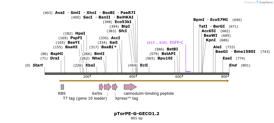 38303_map