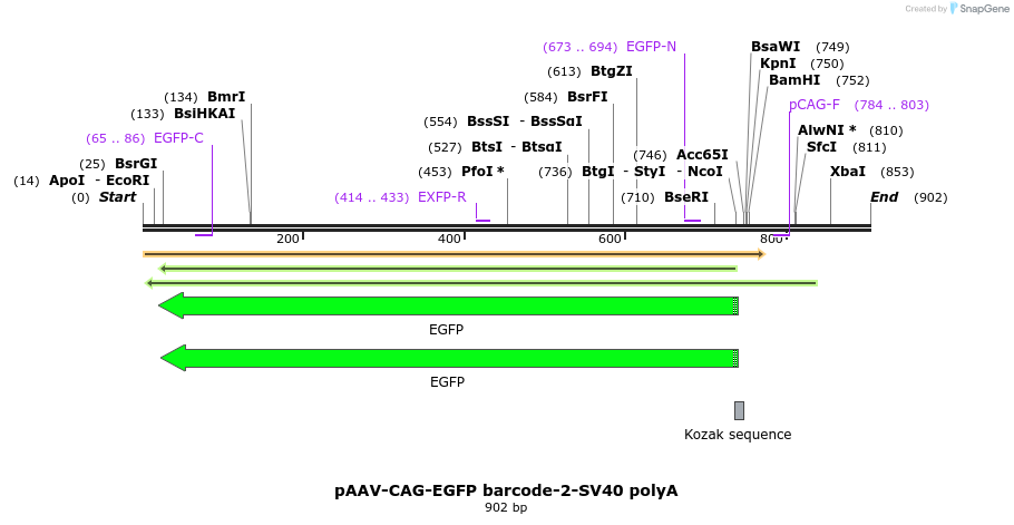 383052_map