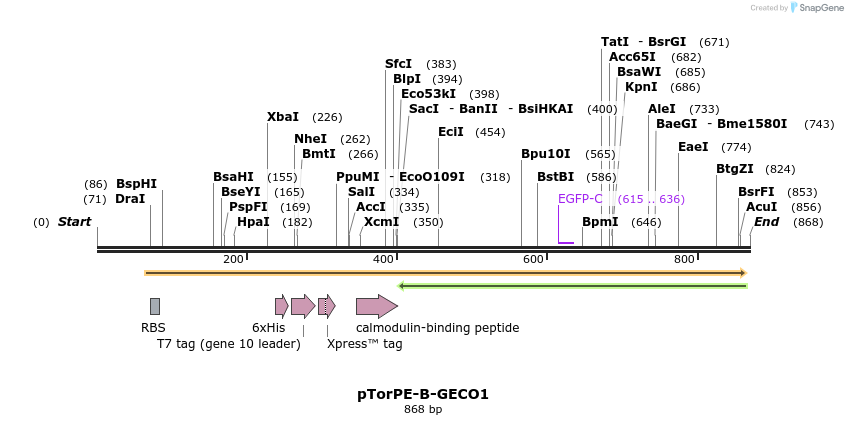 38306_map