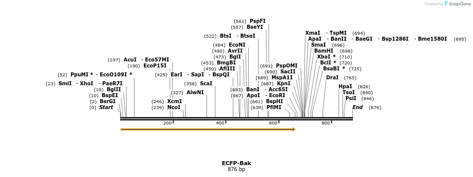 38308_map
