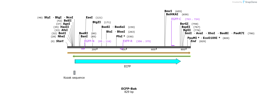 38309_map
