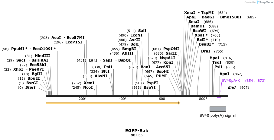 38311_map