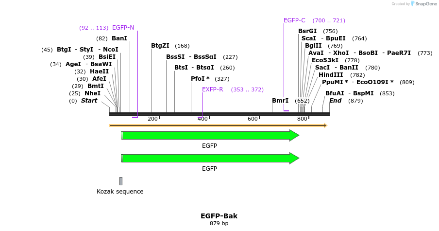 38312_map