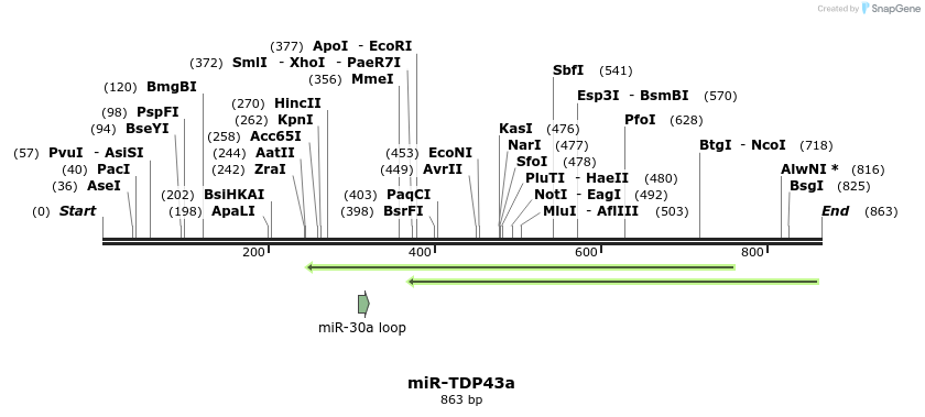 38314_map