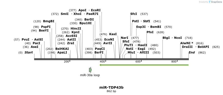 38315_map