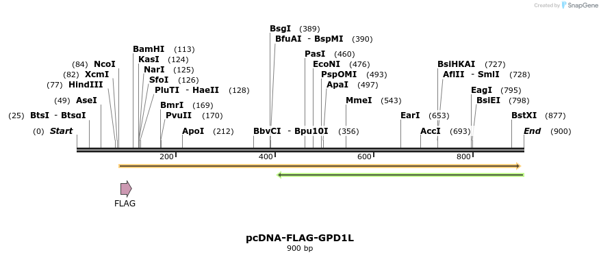 38318_map