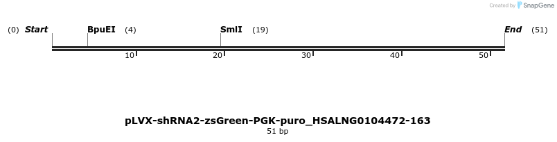383181_map
