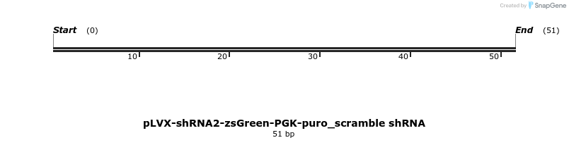 383191_map