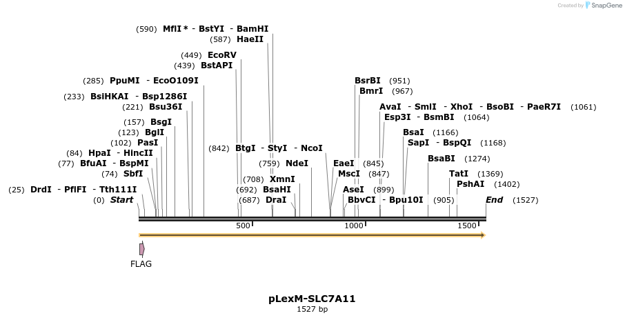 383197_map