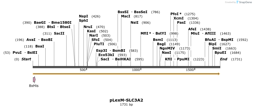 383209_map