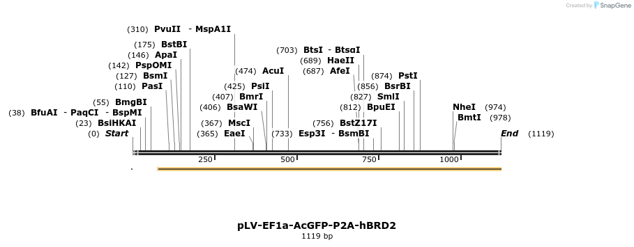 383231_map
