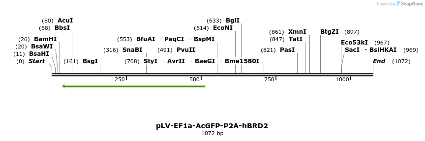 383232_map