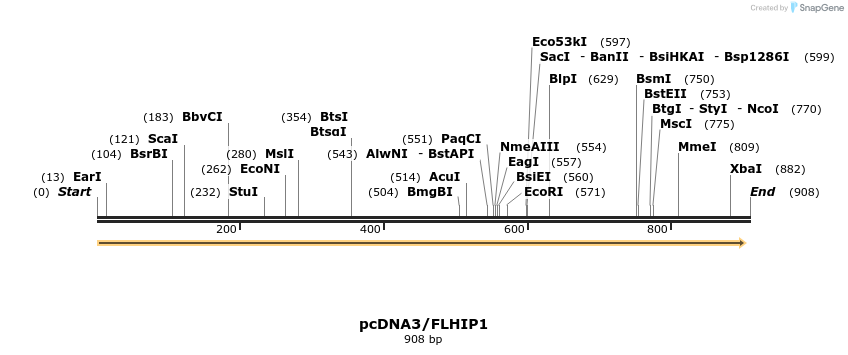 38326_map