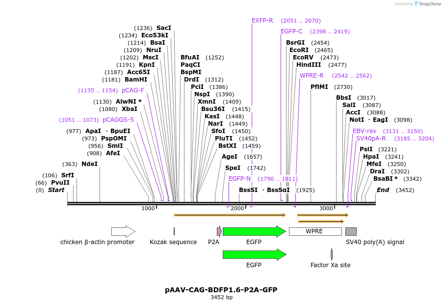 383304_map