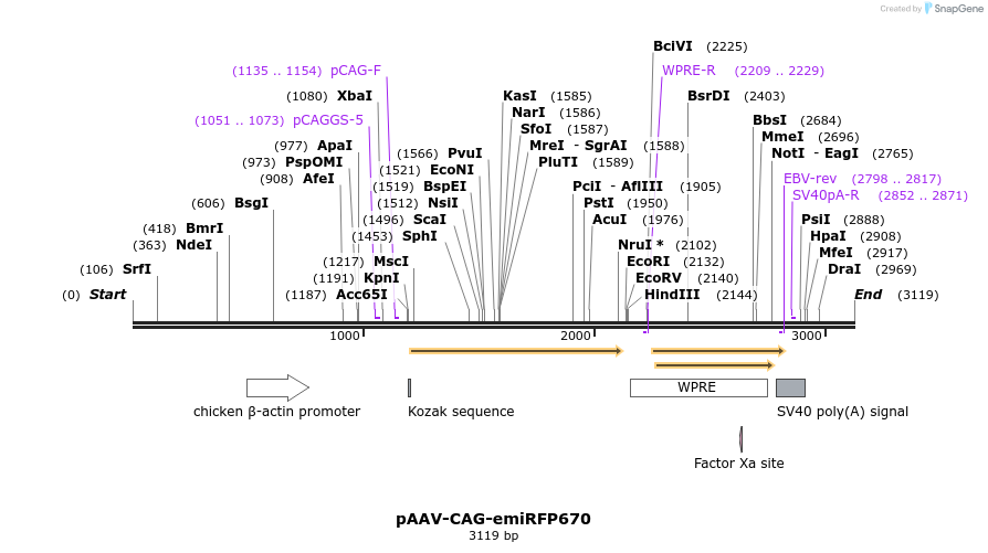 383311_map