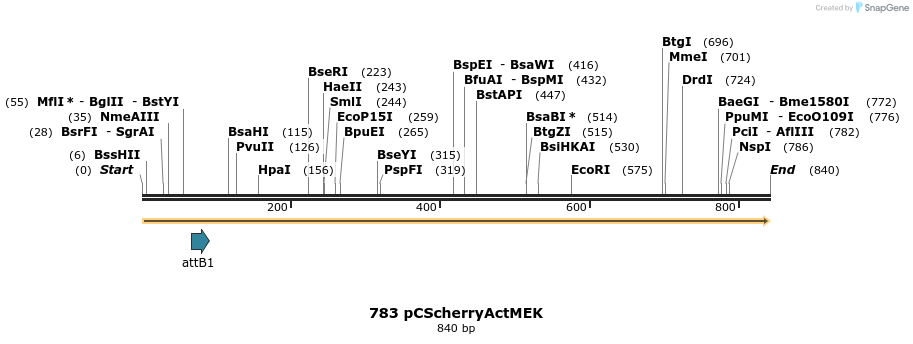 38332_map