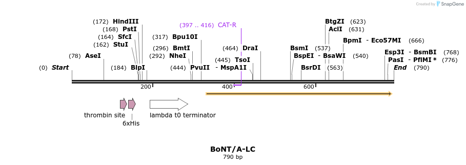 38335_map