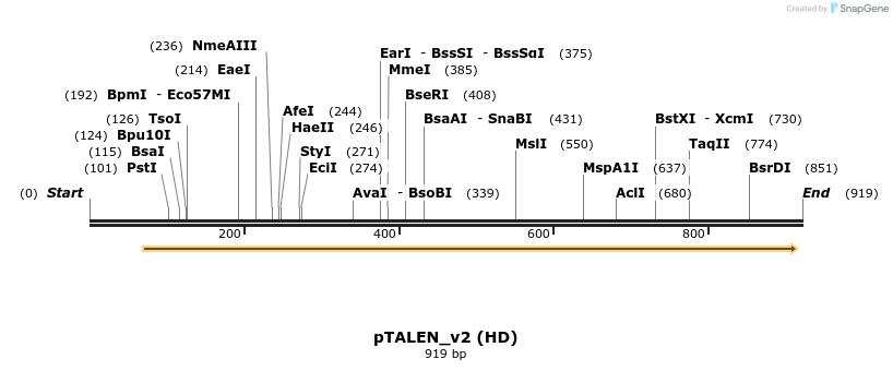 38344_map