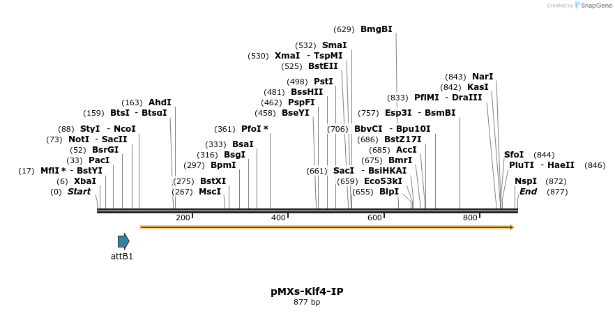 38370_map
