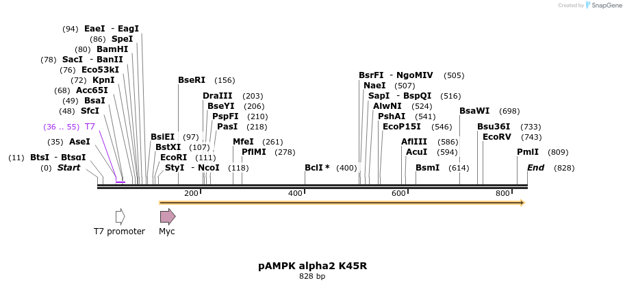38371_map