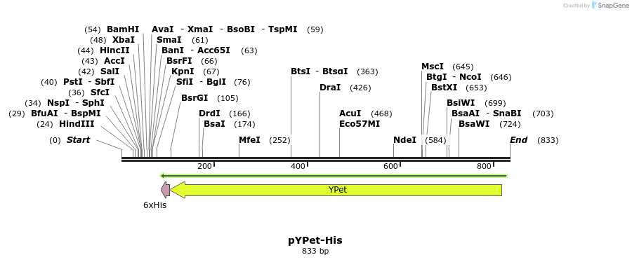 38375_map