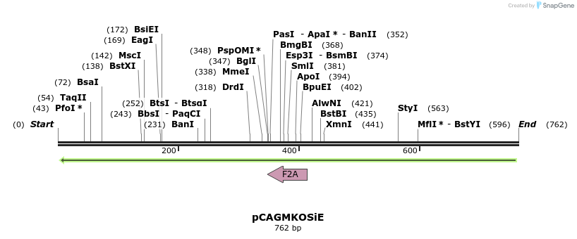 38379_map