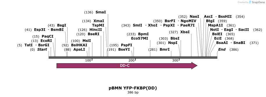 38381_map