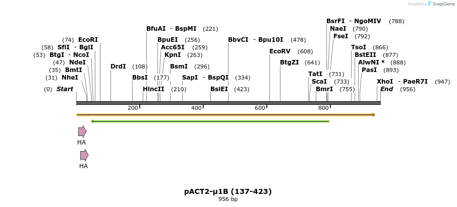 383830_map