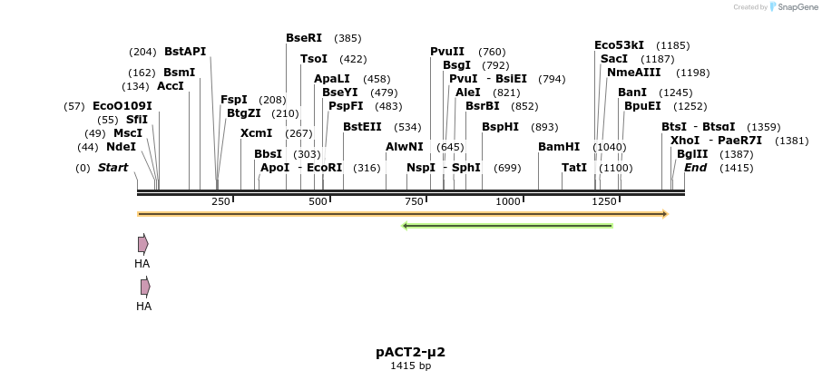 383833_map